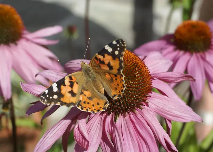 Chasa Al Battaporta *